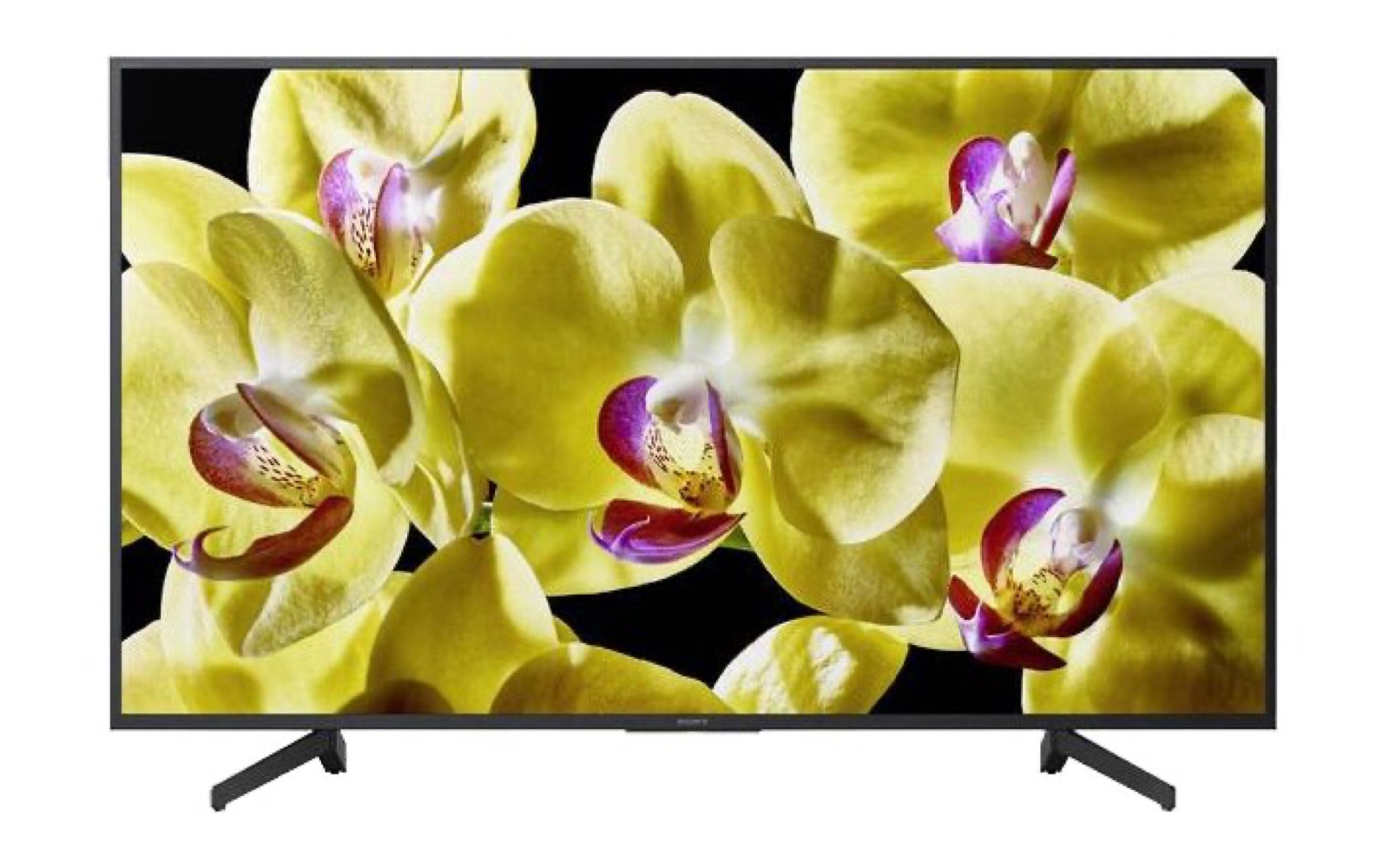 Sony KD-49XG8096